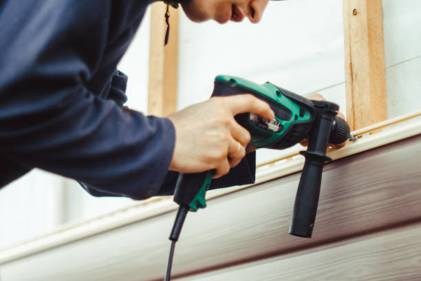 Best Vinyl Siding Installation  in Moapa Valley, NV
